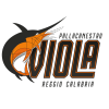 VIOLA REGGIO CALABRIA Team Logo